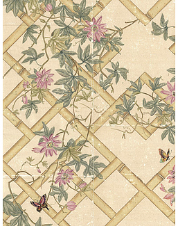 Обои Paul Montgomery Studio Fine Painted Wallpapers Passiflora
