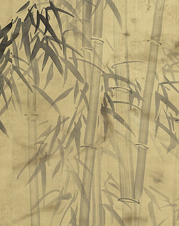 Обои Paul Montgomery Studio Murals For Unique Walls Bamboo Forest/Antiqued