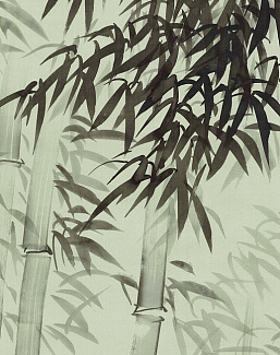 Обои Paul Montgomery Studio Murals For Unique Walls Bamboo Forest/Green