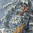 Обои Paul Montgomery Studio Murals For Unique Walls Brazil/Classic