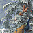 Обои Paul Montgomery Studio Murals For Unique Walls Brazil/Classic