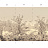 Обои Paul Montgomery Studio Murals For Unique Walls Brazil/Sepia