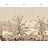 Обои Paul Montgomery Studio Murals For Unique Walls Brazil/Sepia