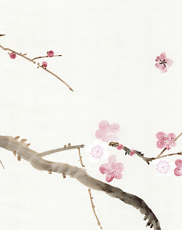 Обои Paul Montgomery Studio Murals For Unique Walls Cherry Blossoms White/White