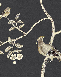 Обои Paul Montgomery Studio Murals For Unique Walls Maysong Charcoal/Charcoal