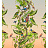 Обои Kit Miles Kit Miles Titan Mica 104 A