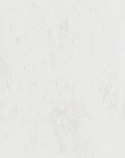 Обои Designers Guild Jardin Des Plantes PDG716/01