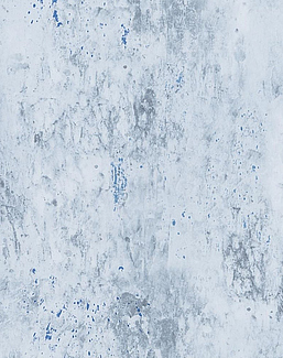 Обои Designers Guild Jardin Des Plantes PDG716/05