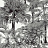 Обои Thibaut Tropics T10102