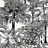 Обои Thibaut Tropics T10102