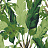 Обои Thibaut Tropics T10127