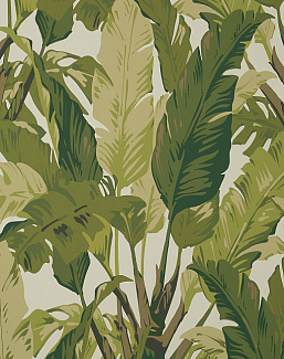 Обои Thibaut Tropics T10131
