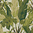 Обои Thibaut Tropics T10131