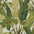 Обои Thibaut Tropics T10131