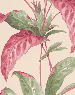 Обои Paint & Paper Library Botany 0360TRRHUBA