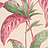 Обои Paint & Paper Library Botany 0360TRRHUBA