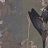 Обои Wall & Deco Contemporary Wallpaper Collection WDDE2001