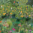 Обои Matthew Williamson Day Dreams W7493-01
