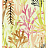 Обои Elitis Flower Power TP30301