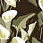 Обои Elitis Flower Power TP30403