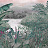 Панно и фотообои Coordonne Metamorphosis 8800112N