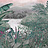 Панно и фотообои Coordonne Metamorphosis 8800112N