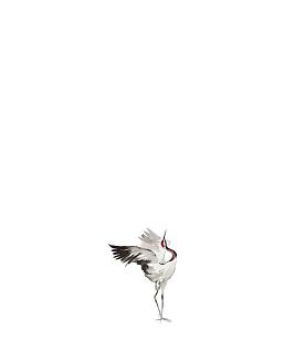 Панно и фотообои Marburg Crush Motion 63478