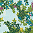 Обои Thibaut Canopy T14334