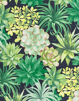Обои Casadeco Botanica BOTA85917396