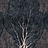 Обои Factura Collection 2021 FORESTA/7