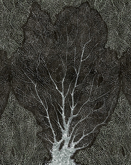 Обои Factura Collection 2021 FORESTA/8