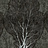 Обои Factura Collection 2021 FORESTA/8