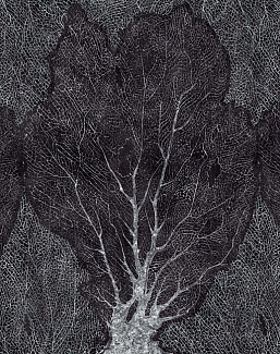 Обои Factura Collection 2021 FORESTA/9