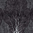 Обои Factura Collection 2021 FORESTA/9