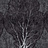 Обои Factura Collection 2021 FORESTA/9
