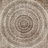 Обои Factura Collection 2021 ETNOGRAFICA/1