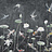 Обои Factura Collection 2021 HANAMI/2
