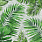 Обои Factura Collection 2021 TROPICAL/1