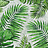 Обои Factura Collection 2021 TROPICAL/1