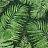 Обои Factura Collection 2021 TROPICAL/4