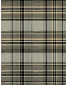 Ткань Fabricut Chromatics Vol.XXVI Quarry Censorship/Peppercorn