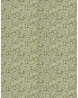 Ткань Fabricut Chromatics Vol.XXVI Succulent UnisaLeaves/Palm