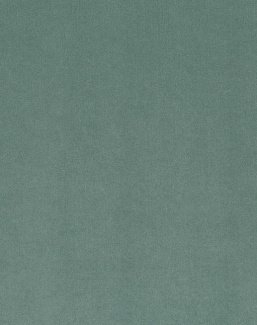 Ткань Kirkby Design Smooth III K5228/17