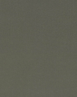 Ткань Kirkby Design Smooth III K5228/62