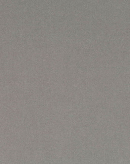 Ткань Kirkby Design Smooth III K5228/88