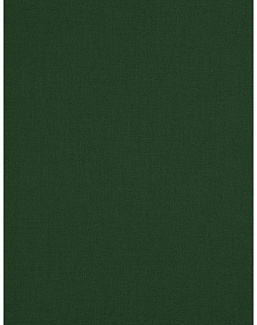 Ткань Fabricut Clean & Classic Indoor/Outdoor Checks & Stripes GreatOutdoors/Pine