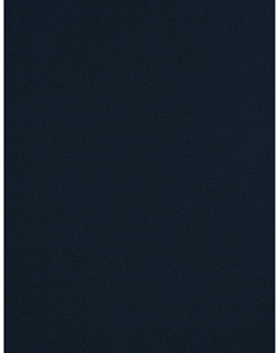 Ткань Fabricut Clean & Classic Indoor/Outdoor Checks & Stripes GreatOutdoors/Navy