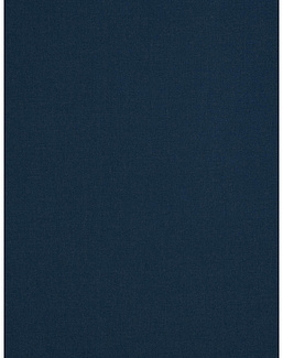 Ткань Fabricut Clean & Classic Indoor/Outdoor Checks & Stripes GreatOutdoors/Blue