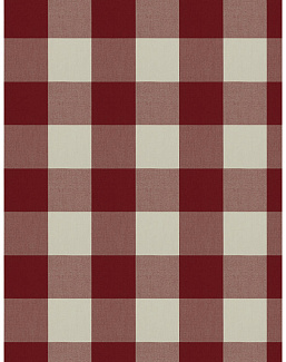 Ткань Fabricut Clean & Classic Indoor/Outdoor Checks & Stripes CampingCheck/Ruby