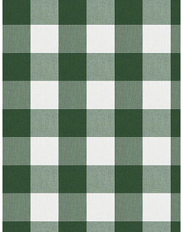 Ткань Fabricut Clean & Classic Indoor/Outdoor Checks & Stripes CampingCheck/Pine
